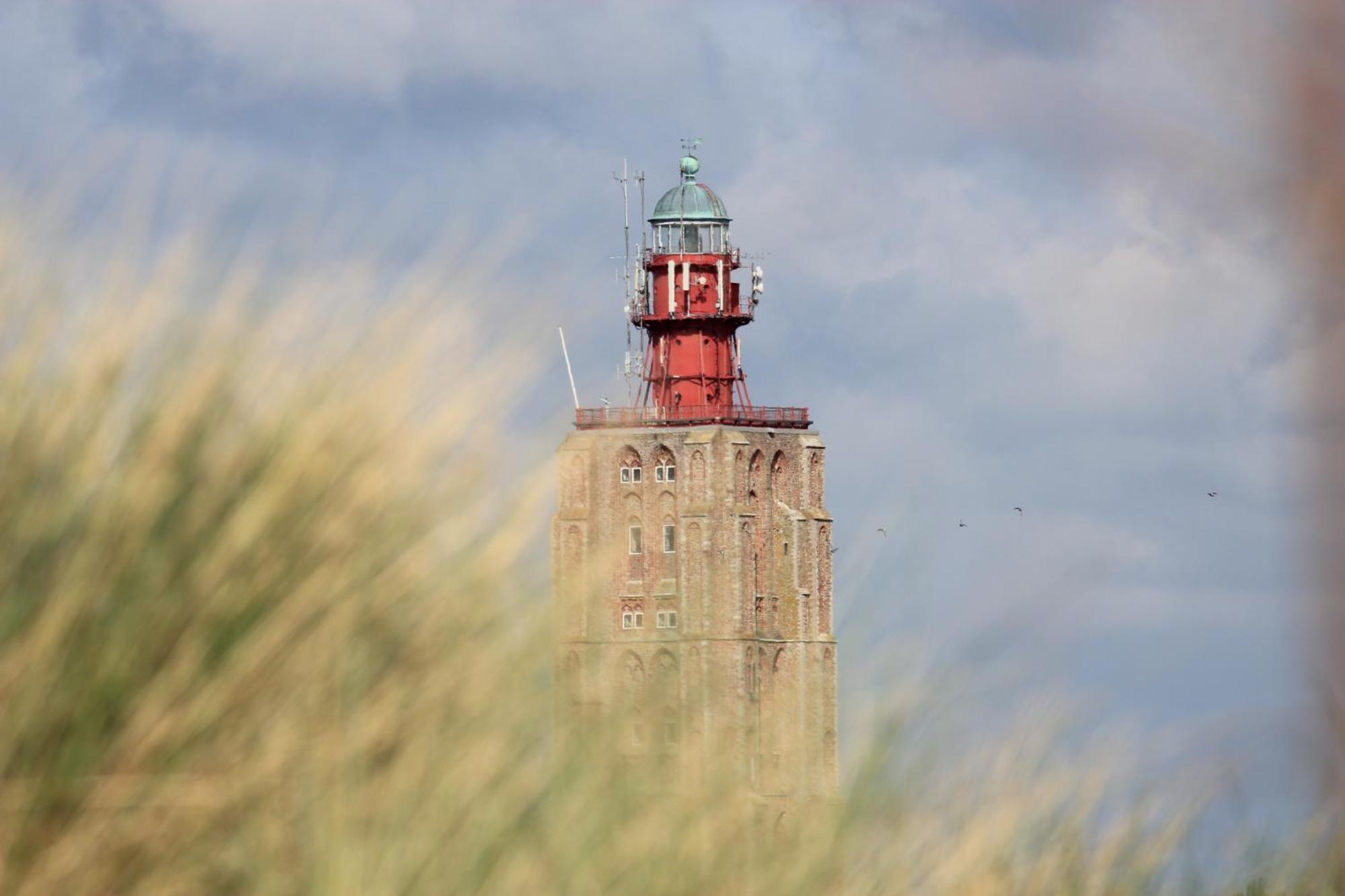 107,5 Nieuw Appartement Met Sauna Westkapelle Zewnętrze zdjęcie